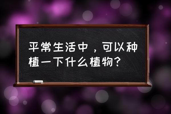 现在种植什么最合适 平常生活中，可以种植一下什么植物？