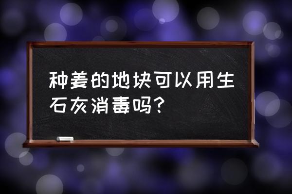 大姜根腐病和茎腐病用什么药治 种姜的地块可以用生石灰消毒吗？