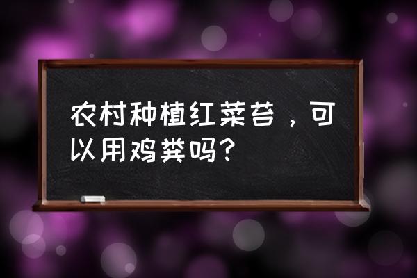 红菜苔用什么肥料长得更快 农村种植红菜苔，可以用鸡粪吗？