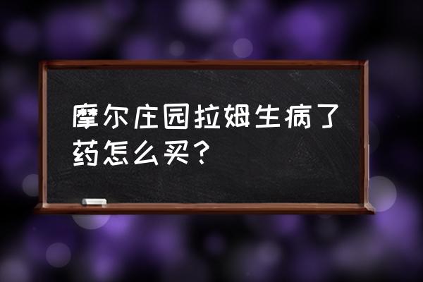 摩尔庄园拉姆怎么找到自己的餐厅 摩尔庄园拉姆生病了药怎么买？