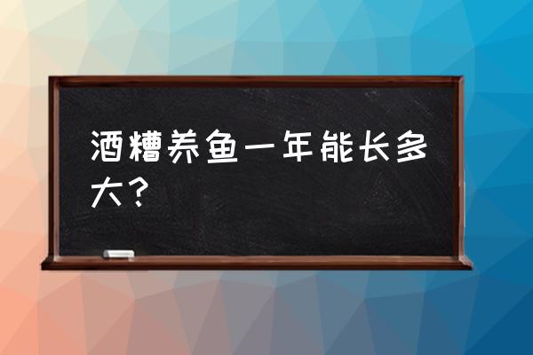 小型酒糟烘干机生产线价格 酒糟养鱼一年能长多大？