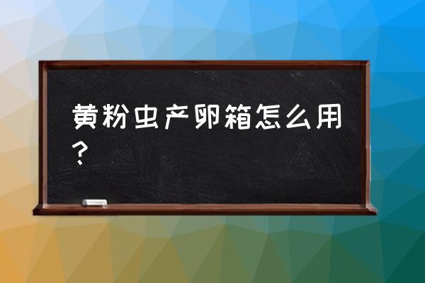 黄粉虫养殖最简单的技术 黄粉虫产卵箱怎么用？