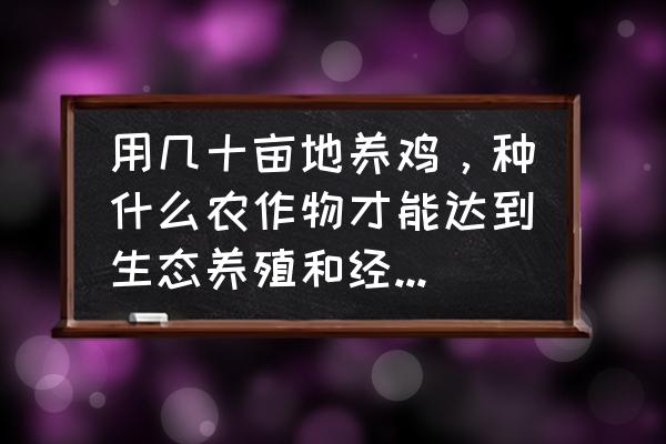 支付宝小鸡红心能兑换什么 用几十亩地养鸡，种什么农作物才能达到生态养殖和经济效益双收的效果？