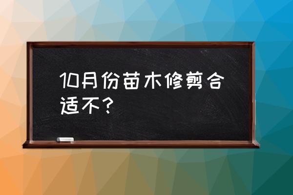 苗木秋冬季节的管理方法 10月份苗木修剪合适不？