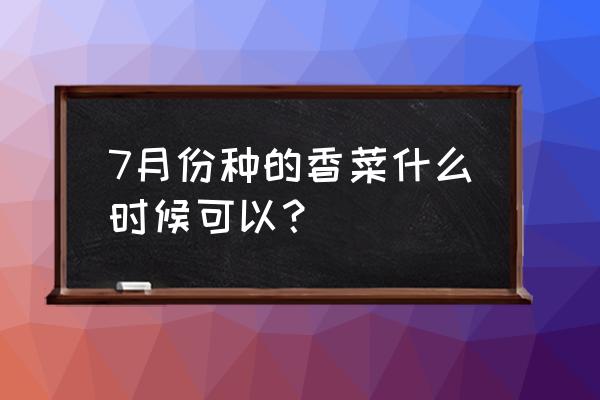 香菜刚出苗多长时间浇一次水 7月份种的香菜什么时候可以？