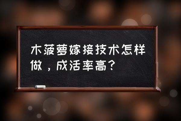 菠萝蜜需不需要嫁接 木菠萝嫁接技术怎样做，成活率高？