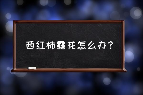 番茄病虫害防治方法全过程 西红柿露花怎么办？