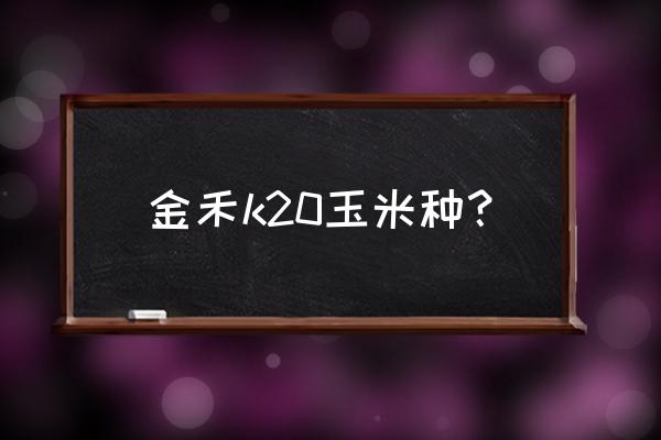 淮北早餐玉米片的做法 金禾k20玉米种？