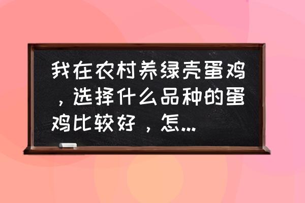 怎样做好土鸡蛋销路 我在农村养绿壳蛋鸡，选择什么品种的蛋鸡比较好，怎么找销路？