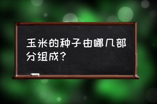 玉米种子胚的各部位怎么判断 玉米的种子由哪几部分组成？