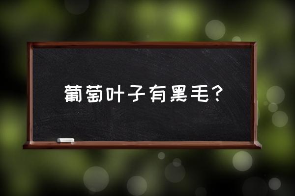 葡萄褐斑病怎么防治 葡萄叶子有黑毛？