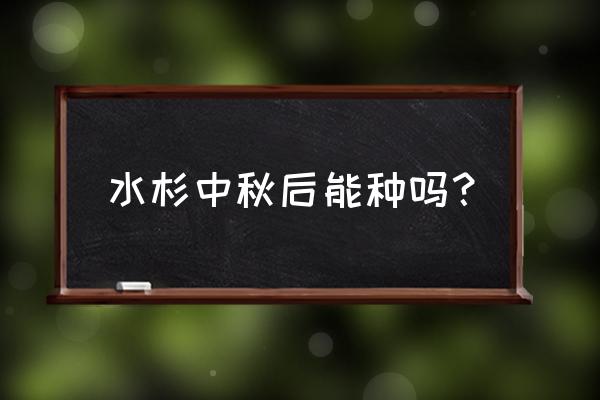 水杉怎么快速发芽 水杉中秋后能种吗？