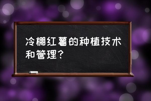 凉薯怎么种植才高产 冷棚红薯的种植技术和管理？