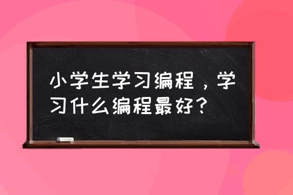 适合12岁孩子学习的逻辑思维方式 小学生学习编程，学习什么编程最好？