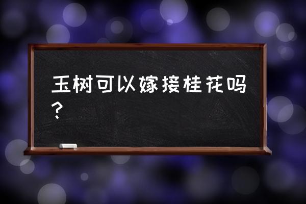 桂花可嫁接到什么树上 玉树可以嫁接桂花吗？