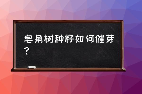 干皂角米的硬壳怎么去掉 皂角树种籽如何催芽？