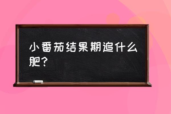 番茄结果施什么肥 小番茄结果期追什么肥？