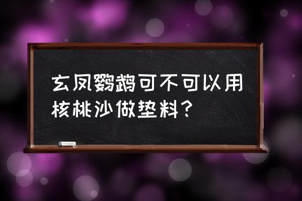 自制芦丁鸡的窝怎么布置 玄凤鹦鹉可不可以用核桃沙做垫料？