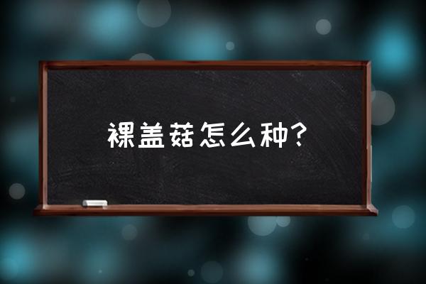 稻草大球盖菇最新种植技术 裸盖菇怎么种？