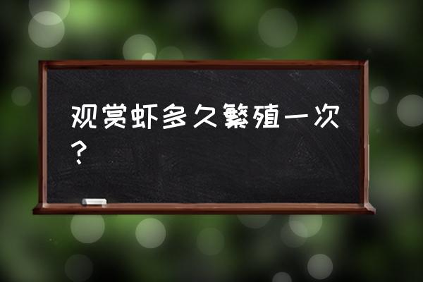 水晶虾刚孵化出来的小虾怎么养 观赏虾多久繁殖一次？