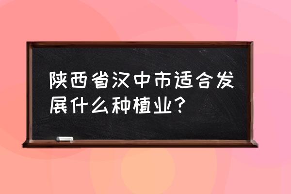 开心果家庭种植有讲究吗 陕西省汉中市适合发展什么种植业？