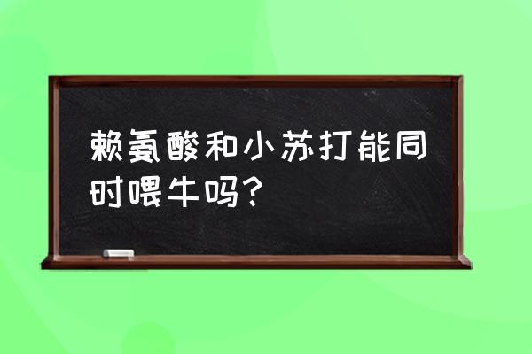 小苏打喂牛的好处和坏处 赖氨酸和小苏打能同时喂牛吗？