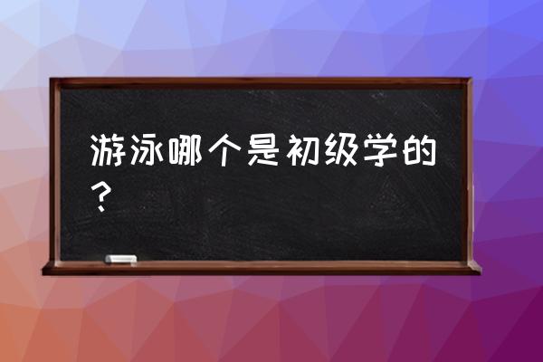 游泳初学者怎么去学 游泳哪个是初级学的？