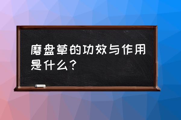 金花跌打酊可以用于破皮吗 磨盘草的功效与作用是什么？