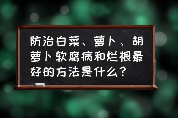 洋葱根腐病用什么药效果最好 防治白菜、萝卜、胡萝卜软腐病和烂根最好的方法是什么？