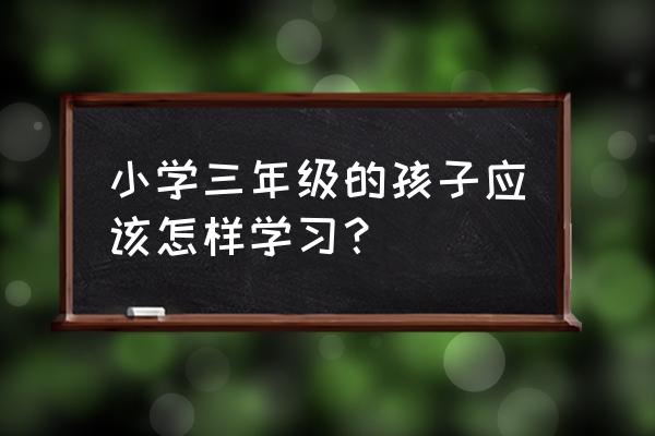 七年级怎么学才能学好 小学三年级的孩子应该怎样学习？