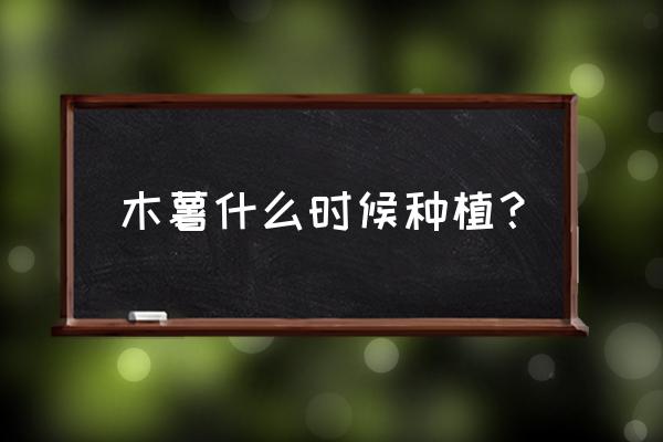 种木薯的正确方法 木薯什么时候种植？