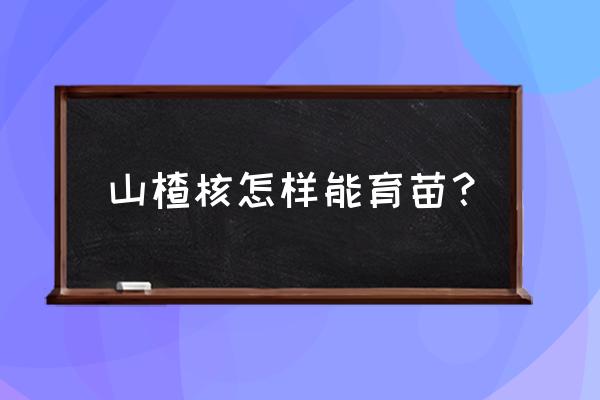 山楂育苗的正确方法 山楂核怎样能育苗？