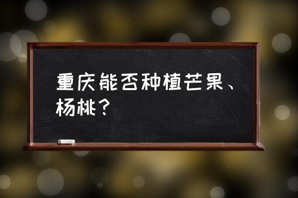 杨桃一年四季都开花吗 重庆能否种植芒果、杨桃？