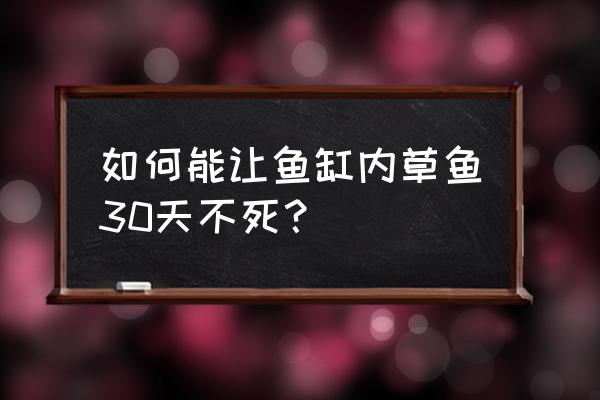 金鱼缸怎么养出绿草地 如何能让鱼缸内草鱼30天不死？