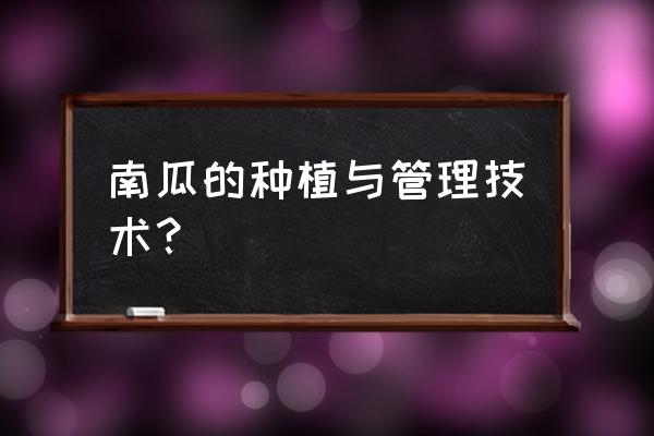 南瓜的栽培技术要点 南瓜的种植与管理技术？