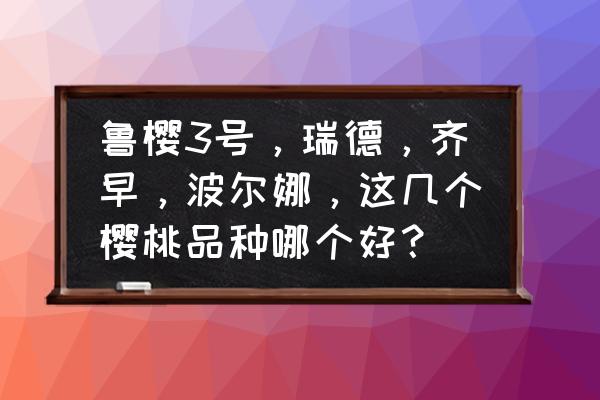 买什么樱桃最好 鲁樱3号，瑞德，齐早，波尔娜，这几个樱桃品种哪个好？