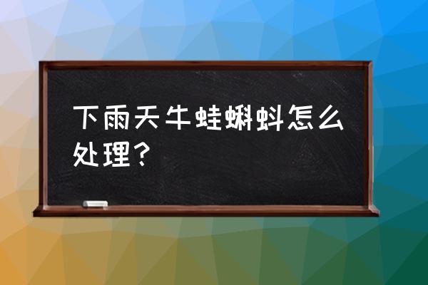 刚长后腿的牛蛙蝌蚪需要怎么喂养 下雨天牛蛙蝌蚪怎么处理？