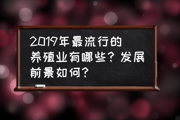 鸭嘴鱼为什么销路少了 2019年最流行的养殖业有哪些？发展前景如何？