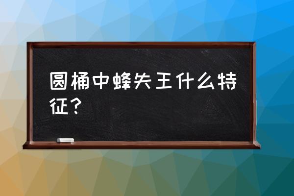 蜜蜂盗蜂有什么表现 圆桶中蜂失王什么特征？