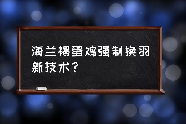 蛋鸡强制换羽的具体步骤 海兰褐蛋鸡强制换羽新技术？