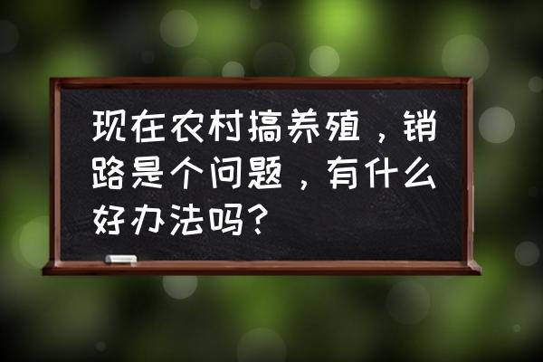 怎么学农村种植养殖技术 现在农村搞养殖，销路是个问题，有什么好办法吗？