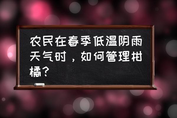 柑橘冬天冻害怎么补救 农民在春季低温阴雨天气时，如何管理柑橘？