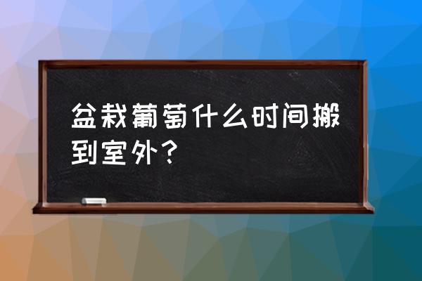 什么时间在葡萄树下埋肉好 盆栽葡萄什么时间搬到室外？