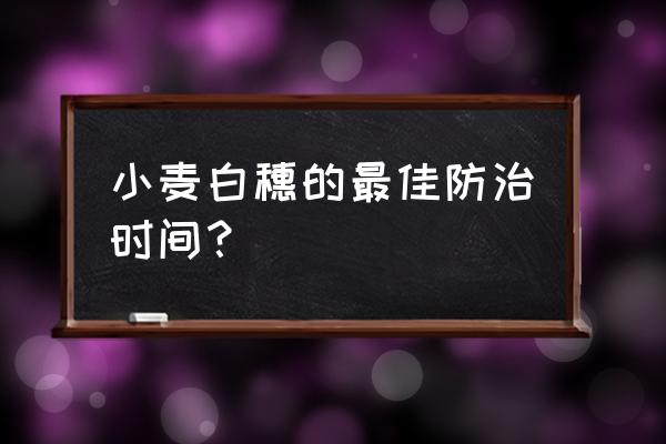 小麦赤霉病的发病规律及预防措施 小麦白穗的最佳防治时间？