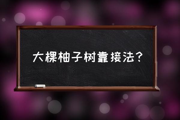 盆栽柚子怎么留枝条 大棵柚子树靠接法？