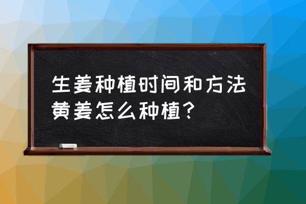 生姜怎么种才能快速生长 生姜种植时间和方法黄姜怎么种植？