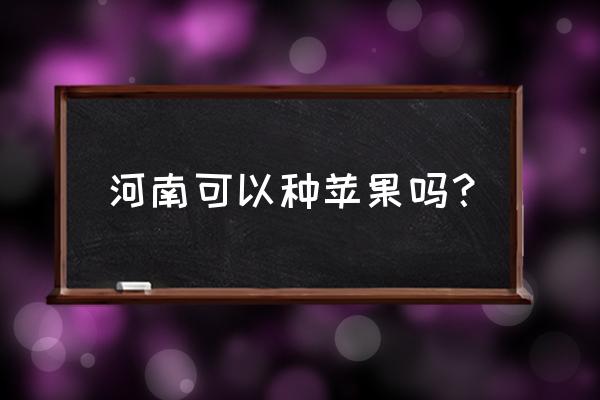 在网上种阿克苏苹果树多少钱一棵 河南可以种苹果吗？