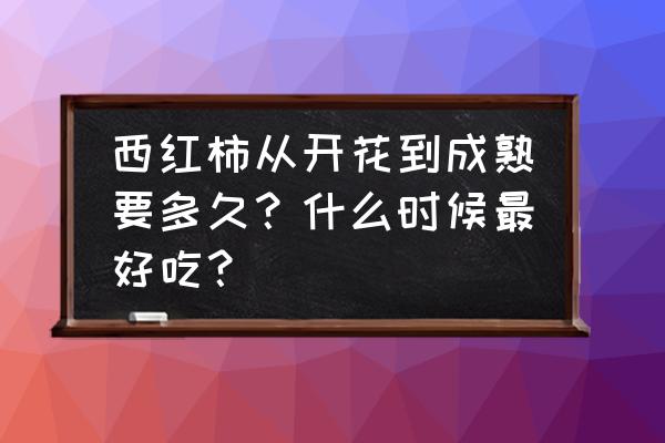 夜开花西红柿怎么烧 西红柿从开花到成熟要多久？什么时候最好吃？