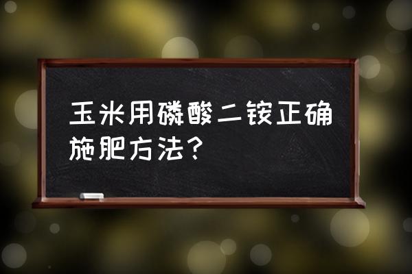 玉米壮苗的最佳标准 玉米用磷酸二铵正确施肥方法？