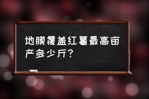 地膜种地瓜的具体步骤 地膜覆盖红薯最高亩产多少斤？